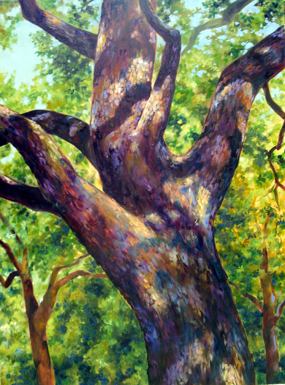 Pankey Tree